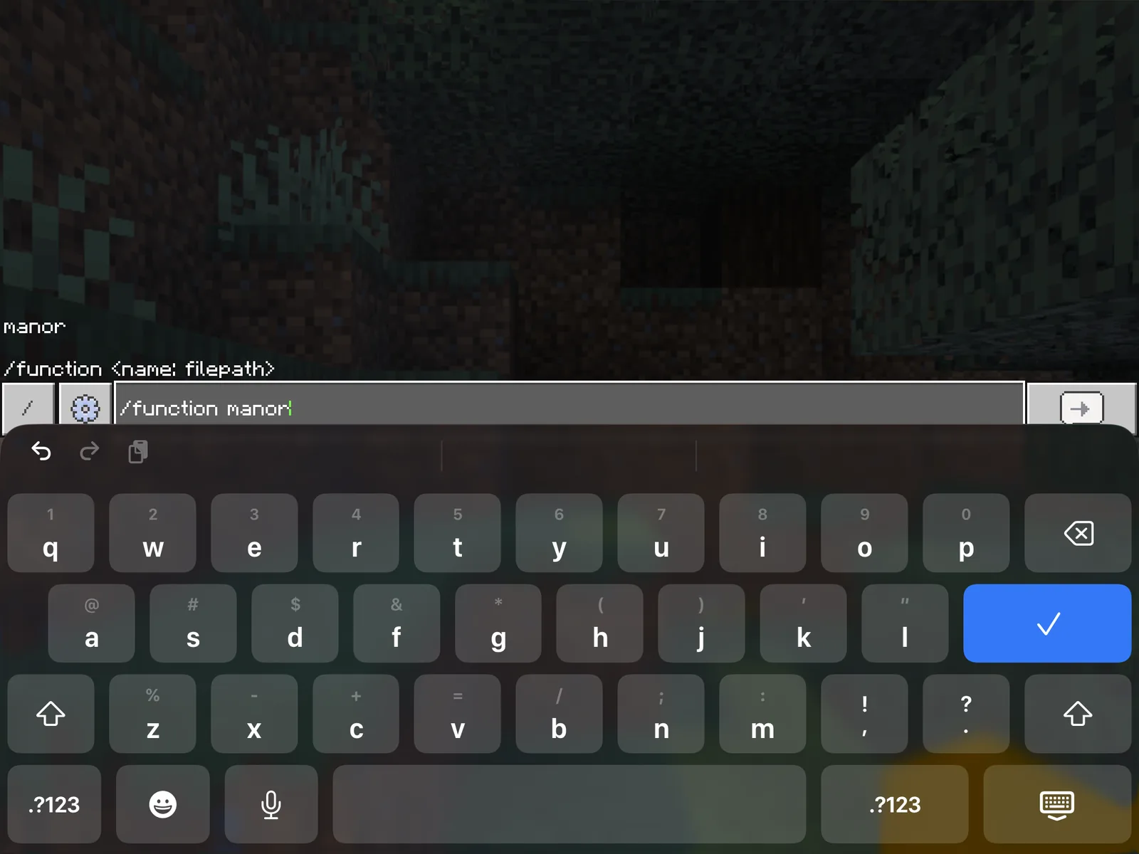 Typing the slash-function manor command in the Minecraft chat, with autocomplete recognizing the function