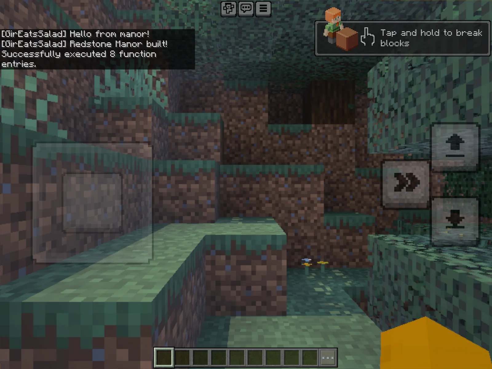 Minecraft chat showing the function executed successfully